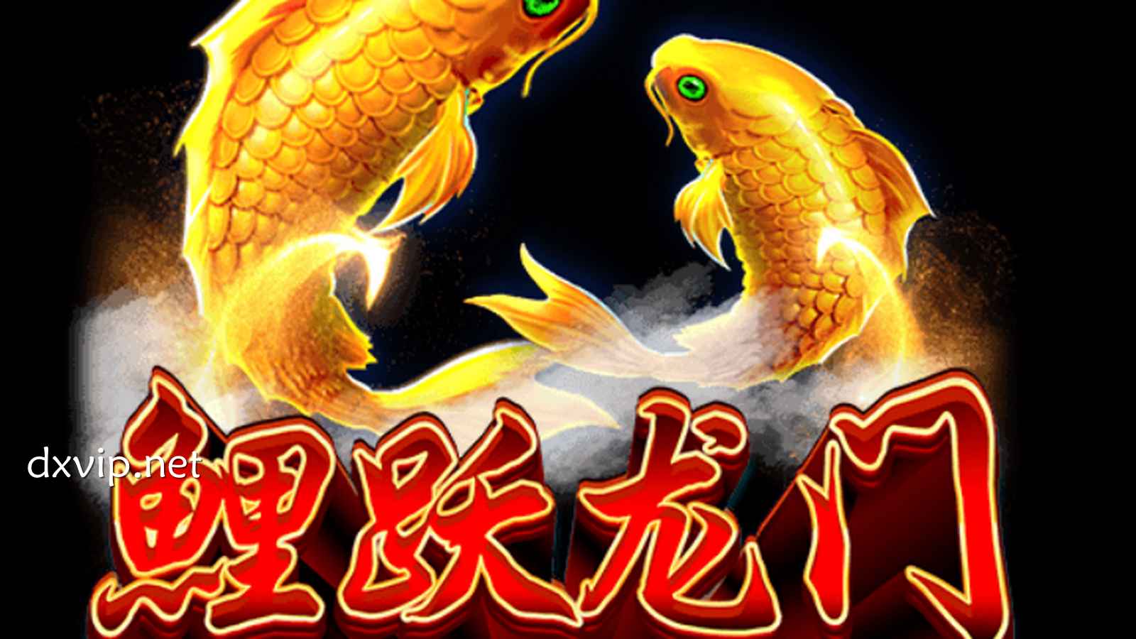 《鲤跃龙门》游戏让你从此变豪门，首先提升投注实力